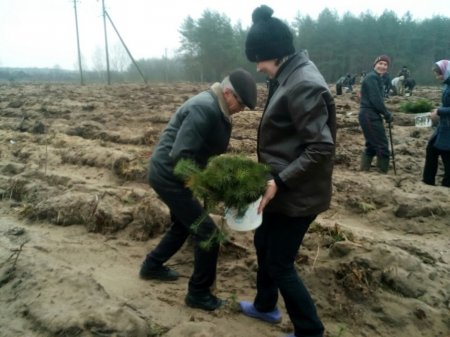 Весняні турботи